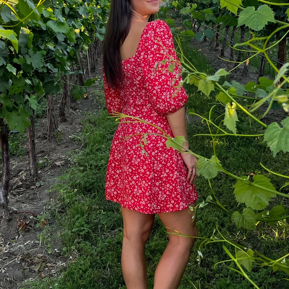 Reformation Dress